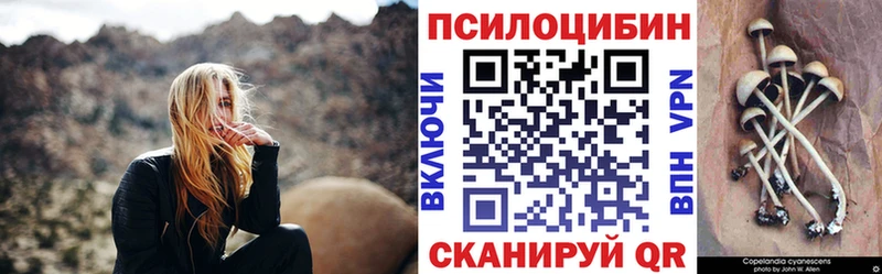 Псилоцибиновые грибы Cubensis  Сычёвка 